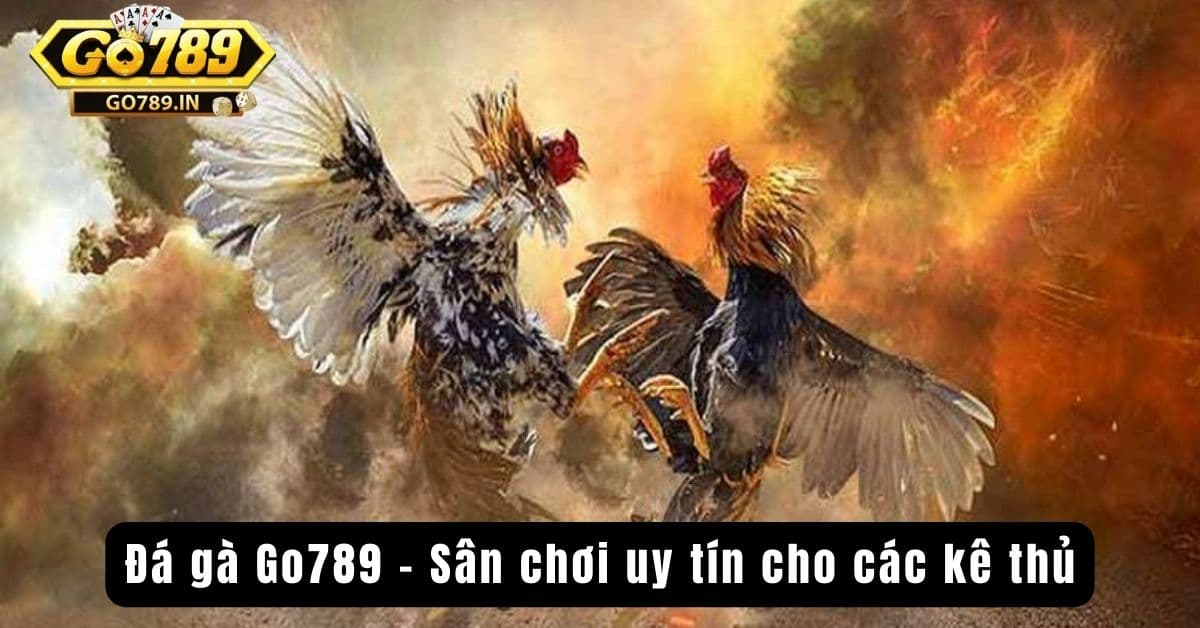 Đá gà Go789 - Sân chơi uy tín cho các kê thủ