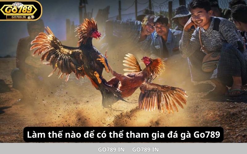 Làm thế nào để có thể tham gia đá gà Go789